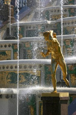 Rusya, St. Petersburg, Peterhof.