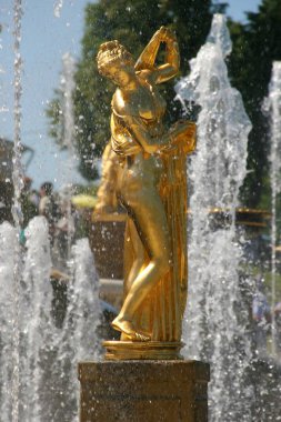 Rusya, St. Petersburg, Peterhof.