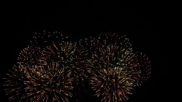 Feuerwerk Zerebration Der Stadt Zeitlupentempo — Stockvideo