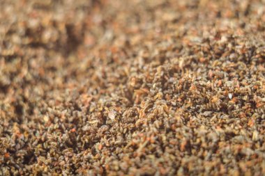 Bir bitki biti Trikhogramma vurdu yumurta. Trikhogramma parazit equestrians-yaytseedov ailesi. Trikhogramma'nın boyutu 0,3-0, 5 mm dir. Tarım, ispolnut haşere kontrolü için faydalı böcekler.