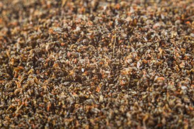 Bir bitki biti Trikhogramma vurdu yumurta. Trikhogramma parazit equestrians-yaytseedov ailesi. Trikhogramma'nın boyutu 0,3-0, 5 mm dir. Tarım, ispolnut haşere kontrolü için faydalı böcekler.