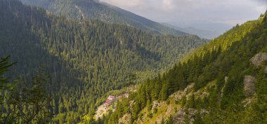 Romanya 'nın Karpat Dağları' ndaki güzel dağ manzarası.