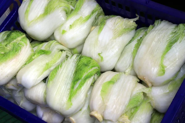 Cabbage soaked in brine until saturated Prepare for the pickling process. To make kimchi, Korean food — Stock Image Cabbage Soaked Brine Saturated Prepare Pickling Process Make Kimchi Korean Stock Photo