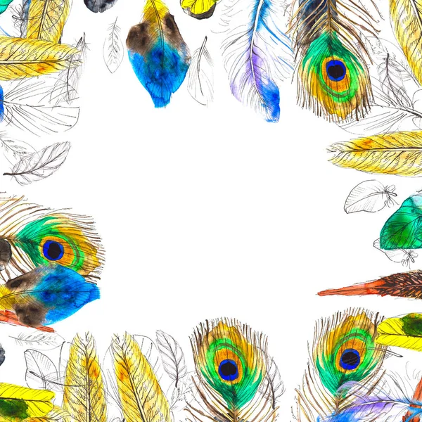 白い背景にカラフルな羽を持つ水彩画のフレーム — ストック写真