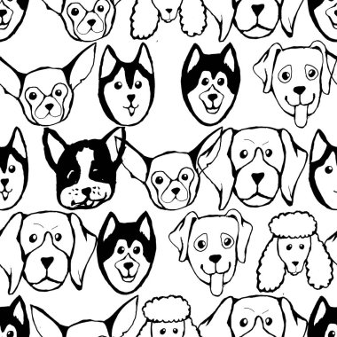 Köpek ırkları ile Seamless modeli. Bulldog, Husky, Alaskan Malamute, geri almak, Doberman, fino köpeği, Pug, Shar Pei, Dalmaçyalı