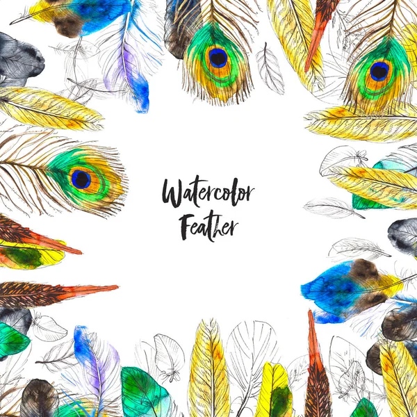 Watercolor frame with colorful feathers on white background — Stock Photo, Image
