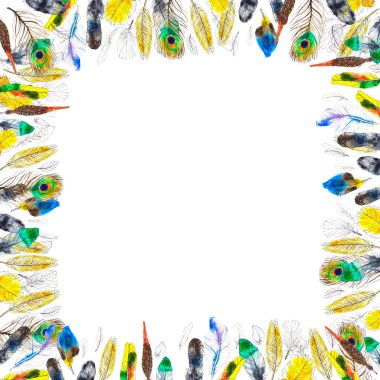 Beyaz arkaplanda renkli tüylü suluboya çerçeve