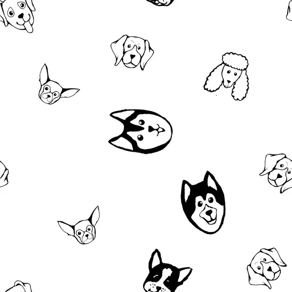 Patrón sin costuras con razas de perros. Bulldog, Husky, Alaska Malamute, Retriever, Doberman, Poodle, Pug, Shar Pei, Dalmacia — Vector de stock