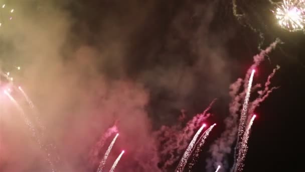 Fuochi d'artificio vacanza esplosivi e colorati di notte cielo . — Video Stock