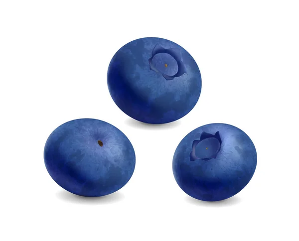 Blueberry na białym tle. Realistyczna ilustracja — Wektor stockowy