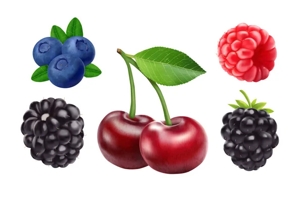 Moras cereza, arándanos y frambuesas. 3d vector icono conjunto. Ilustración realista — Archivo Imágenes Vectoriales