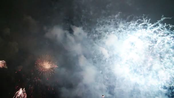 Fuochi d'artificio vacanza esplosivi e colorati di notte cielo . — Video Stock