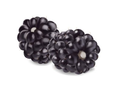 Blackberry. Tatlı meyve. 3b vektör simgesi. Gerçekçi illüstrasyon