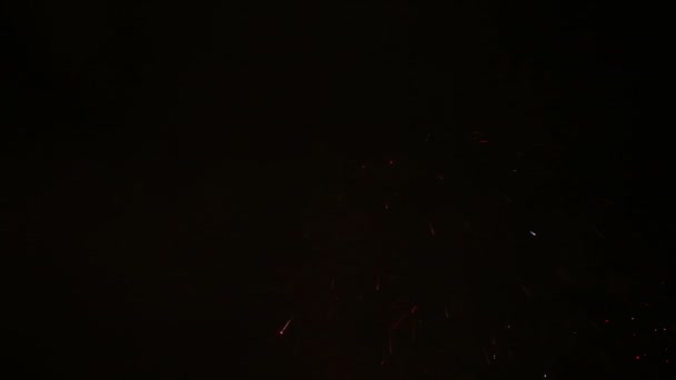 Fogos de artifício de férias explosivos e coloridos no céu noturno . — Vídeo de Stock