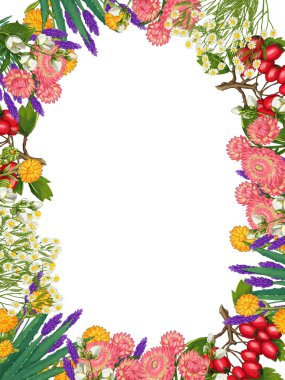 El yapımı tıbbi bitki çerçevesi. Şifalı bitkiler sınırında. beyaz arkaplanda izole