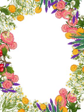 El yapımı tıbbi bitki çerçevesi. Şifalı bitkiler sınırında. beyaz arkaplanda izole