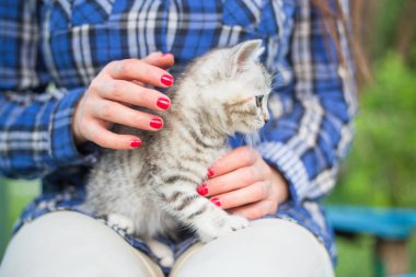WOMANS ellerde bir sevimli pisi-kedi yakın