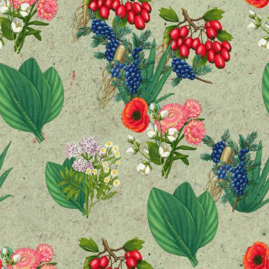 El yapımı şifalı bitkiler pürüzsüz. Şifalı bitkiler kağıt üzerine çizim yapıyor..