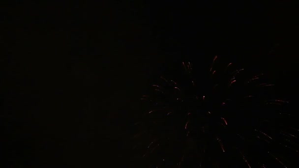 Fogos de artifício de férias explosivos e coloridos no céu noturno . — Vídeo de Stock