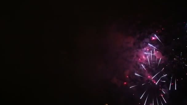 Fuochi d'artificio vacanza esplosivi e colorati di notte cielo . — Video Stock