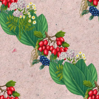 El yapımı şifalı bitkiler pürüzsüz. Şifalı bitkiler kağıt üzerine çizim yapıyor..