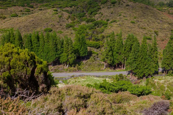 เนินเขาเหนือทุ่งนา เกาะ Terceira ใน Azores ด้วยท้องฟ้าสีฟ้าและเมฆ . — ภาพถ่ายสต็อก