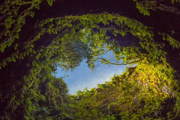 Cueva en un volcán extinto en la isla de Terceira Gruta do Algar do Carvao. Azores, Portugal —  Fotos de Stock