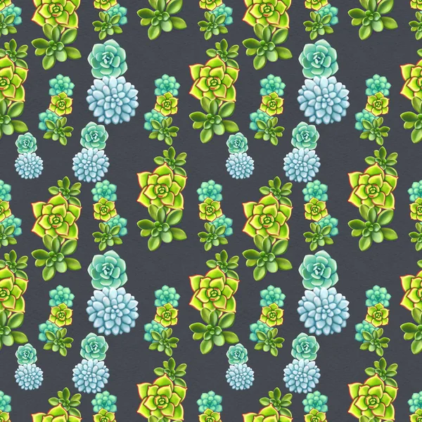 Seamless pattern with succulents. Beautiful floral print. — Stock Photo, Image