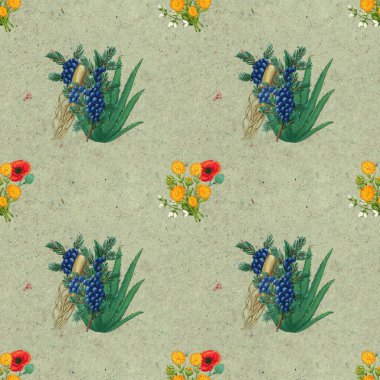 El yapımı şifalı bitkiler pürüzsüz. Şifalı bitkiler kağıt üzerine çizim yapıyor..