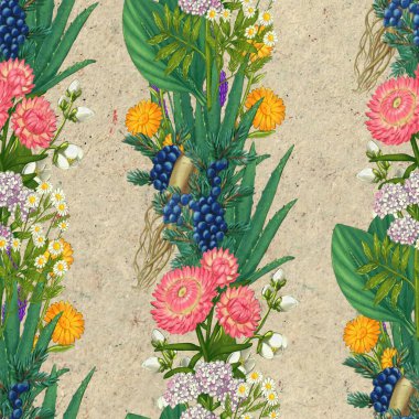 El yapımı şifalı bitkiler pürüzsüz. Şifalı bitkiler kağıt üzerine çizim yapıyor..