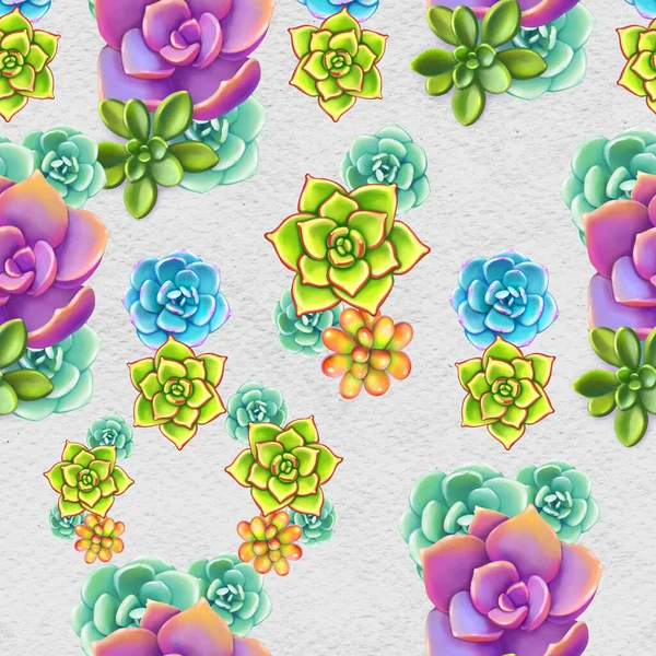 Seamless pattern with succulents. Beautiful floral print. — Stock Photo, Image