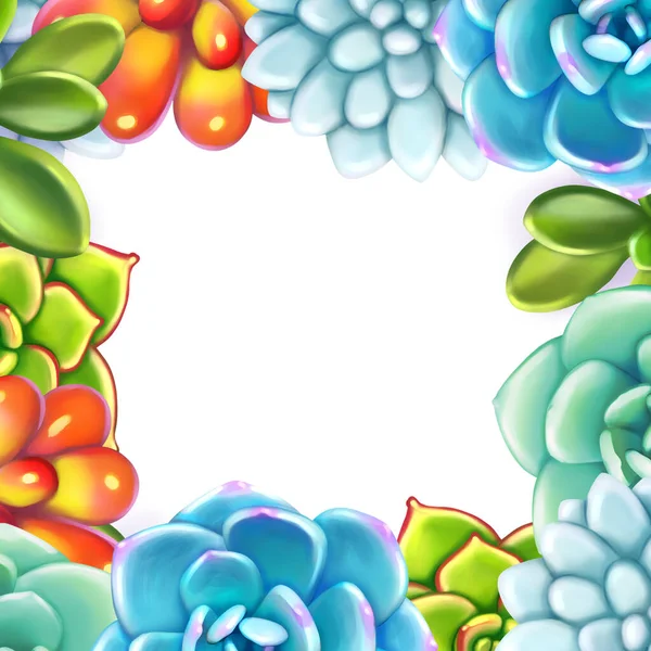 Floral Border. Succulents arranged un a shape of frame