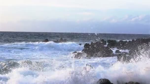 Pedras de lava na praia de Piscinas Naturais Biscoitos. Oceano Atlântico. Terceira Açores, Portugal . — Vídeo de Stock