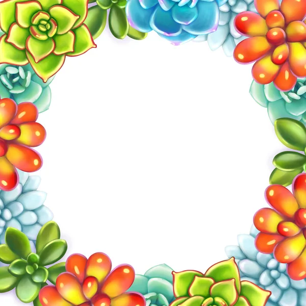 Perbatasan Floral. Succulents arrange un a shape of frame — Stok Foto