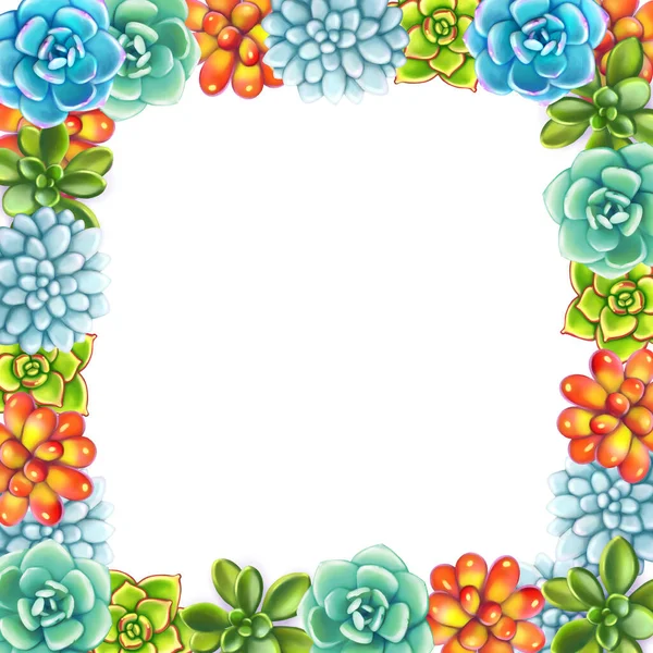 Floral Border. Succulents arranged un a shape of frame — Stock Photo, Image