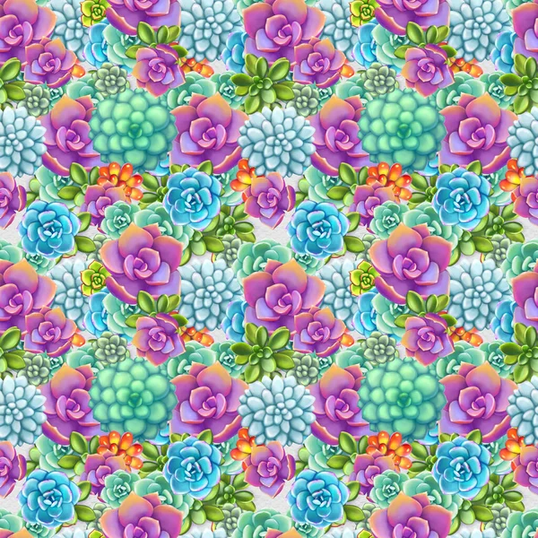 Seamless pattern with succulents. Beautiful floral print.