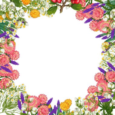 El yapımı tıbbi bitki çerçevesi. Şifalı bitkiler sınırında. beyaz arkaplanda izole