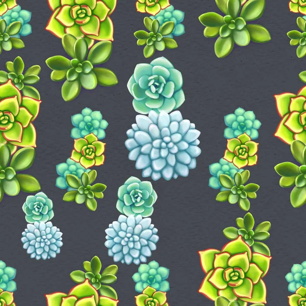 多肉植物とシームレスなパターン。美しい花｜print. — ストック写真