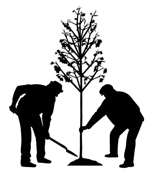 Deux hommes plantent un arbre — Image vectorielle