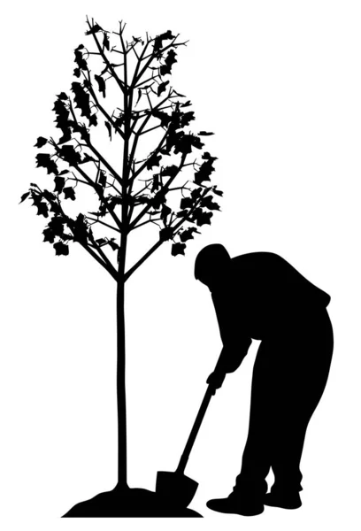 Junger Mann pflanzt einen Baum — Stockvektor