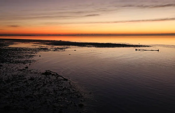 Splendida Alba Sul Capo Est Del Parco Nazionale Delle Everglades — Foto Stock