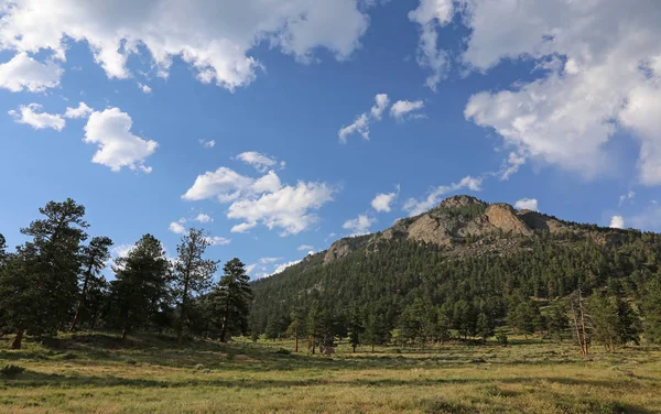 Olhando Para Montanha Dos Veados Parque Nacional Montanha Rochosa Colorado — Fotografia de Stock