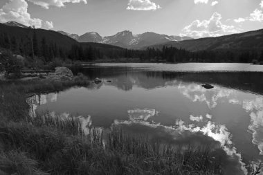 Sprague Gölü Rocky Mountain National Park, Colorado'da siyah ve beyaz bir kadeh.