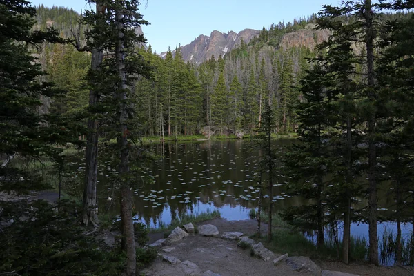 Pohled Víla Jezera Přes Smrk Stezce Emerald Lake Rocky Mountain — Stock fotografie