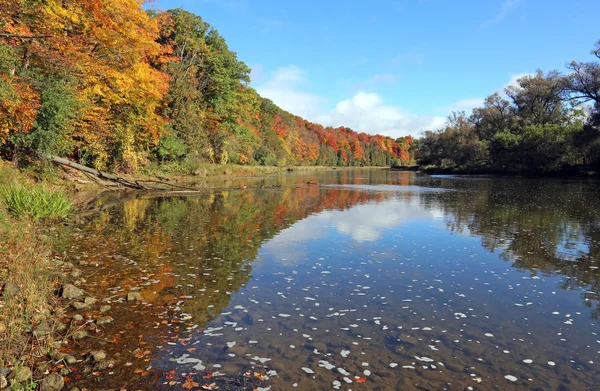 Der Große Fluss Dem Sich Die Herbstfarben Widerspiegeln Schuss Kitchener — Stockfoto