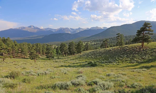 Louka Údolí Těsně Pod Jelení Hřbet Junction Rocky Mountain National — Stock fotografie