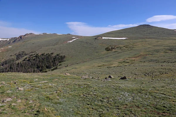 Tundra Alpina Tirada Estrada Trail Ridge Parque Nacional Rocky Mountain — Fotografia de Stock