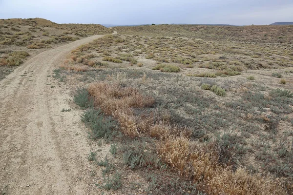 Trilha Seca Desoleta Highline Lake State Park Mesa County Colorado — Fotografia de Stock