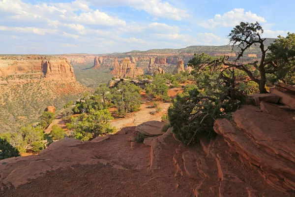 Silhouette Pin Pignon Contre Extrémité Nord Canyon Monument Tourné Vers — Photo