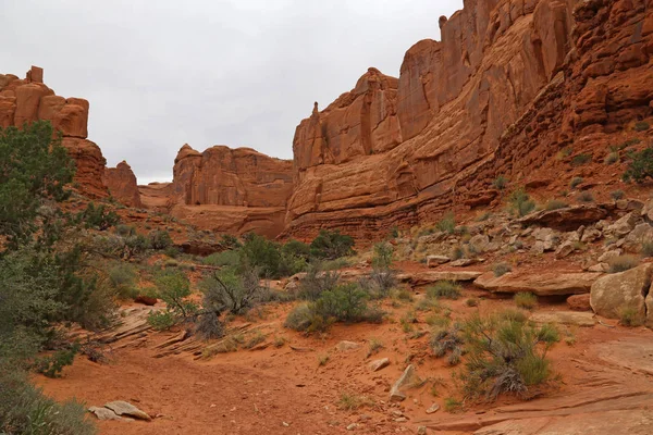 Sentier Park Avenue Dans Parc National Des Arches Près Moab — Photo